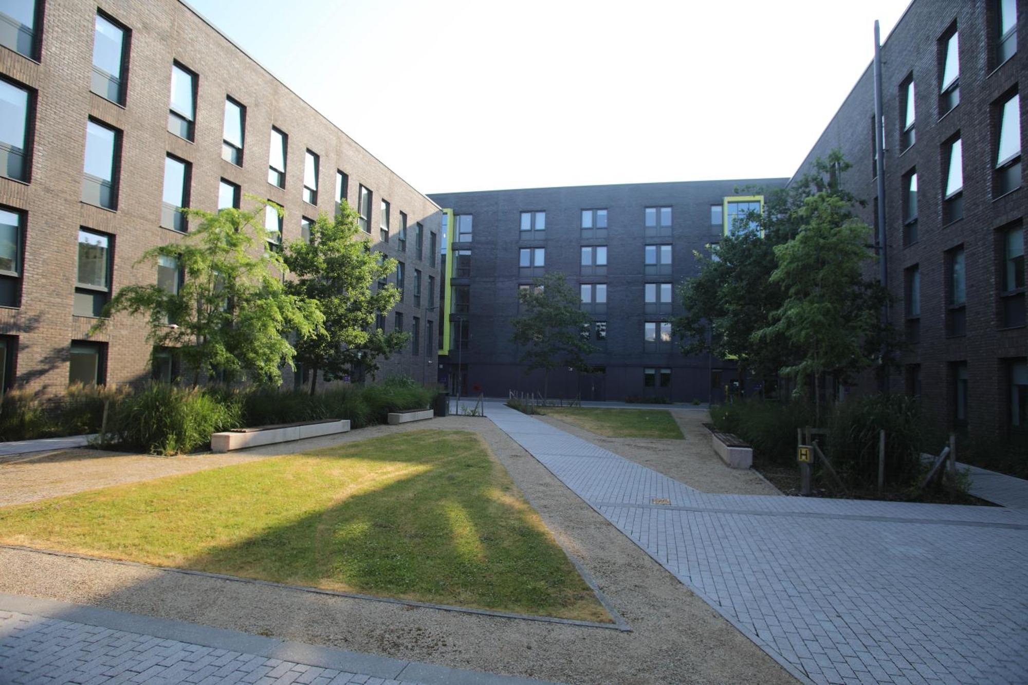Goldcrest Village Apartments University Of Galway Exteriör bild