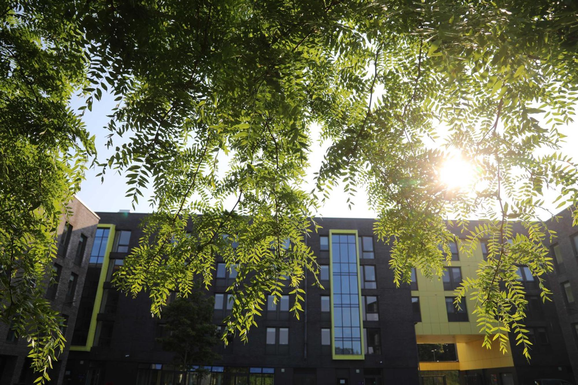 Goldcrest Village Apartments University Of Galway Exteriör bild